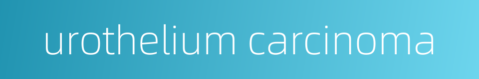 urothelium carcinoma的同义词