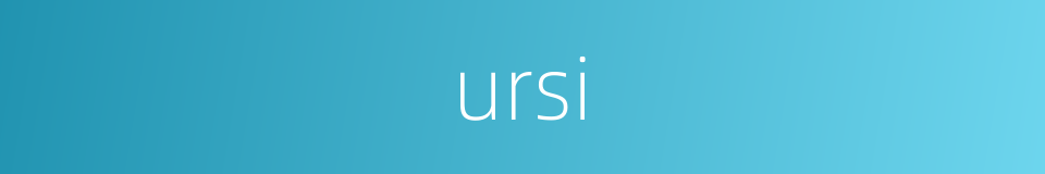 ursi的同义词