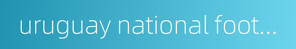 uruguay national football team的同义词