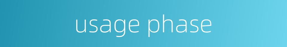 usage phase的同义词