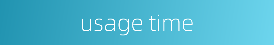 usage time的同义词