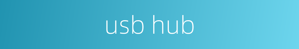 usb hub的同义词