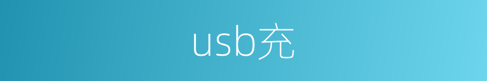 usb充的同义词