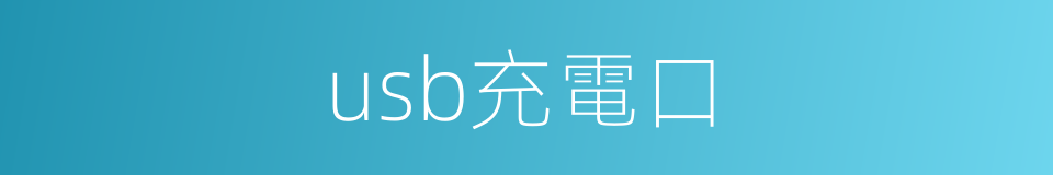 usb充電口的同義詞