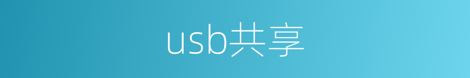 usb共享的同义词