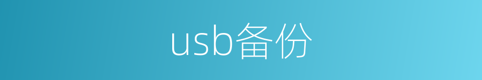 usb备份的同义词