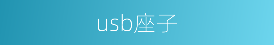 usb座子的同义词