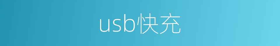 usb快充的同义词