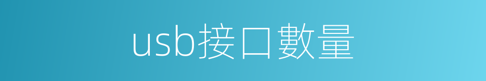 usb接口數量的同義詞