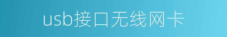 usb接口无线网卡的同义词