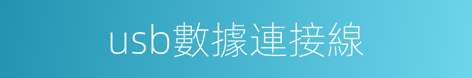 usb數據連接線的同義詞
