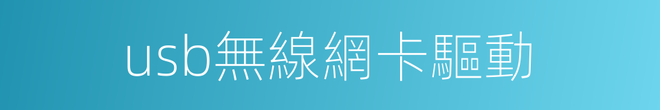 usb無線網卡驅動的同義詞