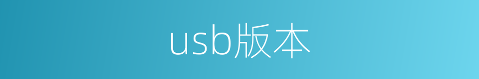 usb版本的同义词