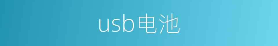 usb电池的同义词