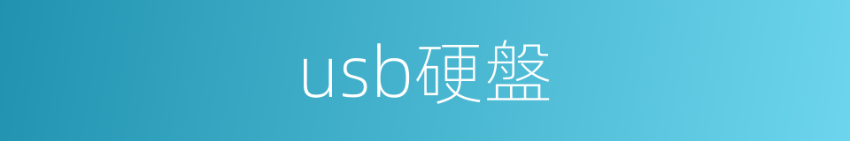 usb硬盤的同義詞