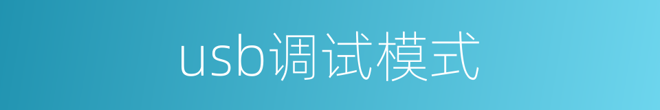 usb调试模式的同义词