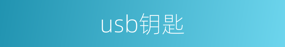 usb钥匙的同义词