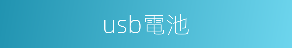 usb電池的同義詞