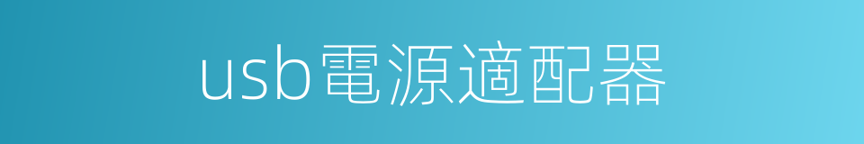usb電源適配器的同義詞