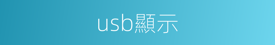 usb顯示的同義詞