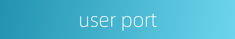 user port的同义词