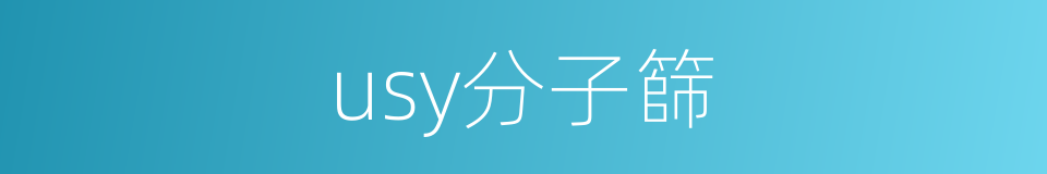 usy分子篩的同義詞