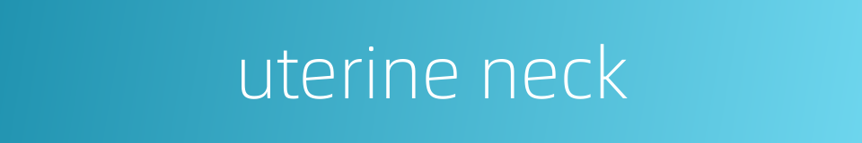 uterine neck的同义词