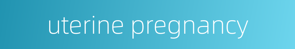 uterine pregnancy的同义词