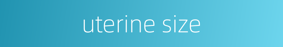 uterine size的同义词