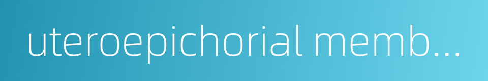 uteroepichorial membranes的同义词