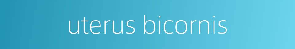 uterus bicornis的同义词