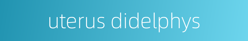 uterus didelphys的同义词