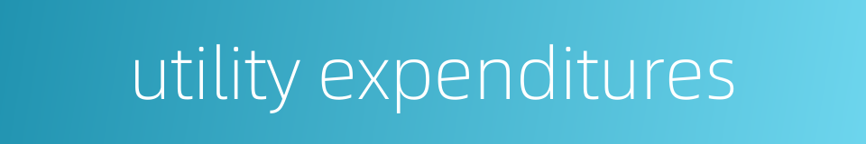 utility expenditures的同义词