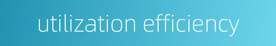 utilization efficiency的同义词
