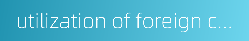 utilization of foreign capital的同义词