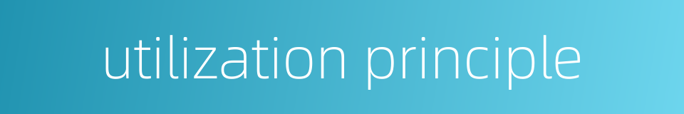 utilization principle的同义词