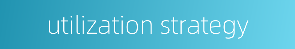 utilization strategy的同义词