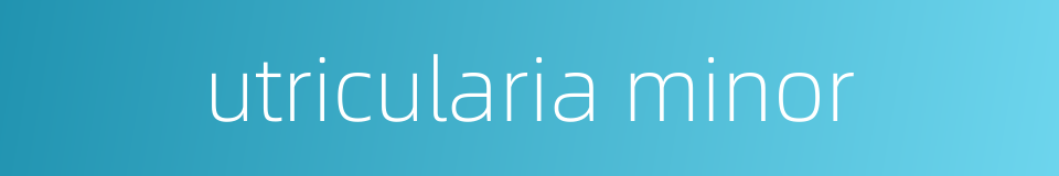 utricularia minor的同义词