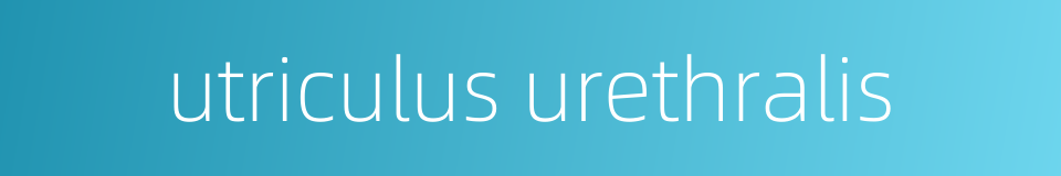 utriculus urethralis的同义词