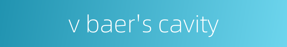 v baer's cavity的同义词
