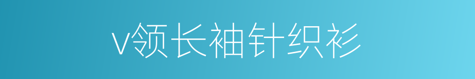 v领长袖针织衫的同义词