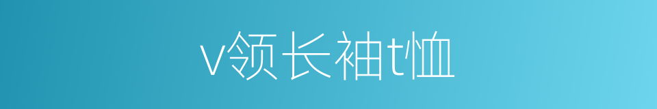 v领长袖t恤的同义词