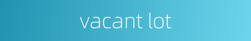 vacant lot的同义词