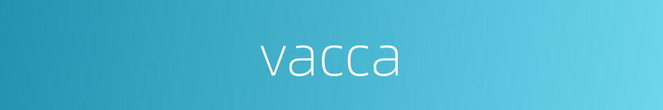 vacca的同义词