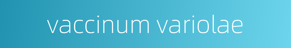 vaccinum variolae的同义词