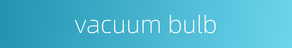 vacuum bulb的同义词
