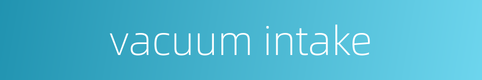 vacuum intake的同义词