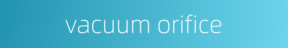 vacuum orifice的同义词