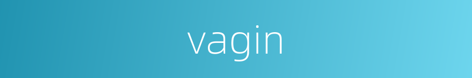 vagin的同义词