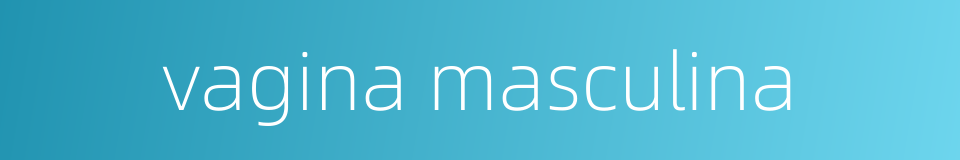vagina masculina的同义词